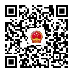 龍南政務
